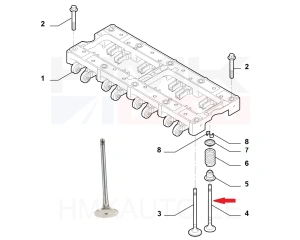 Soupape d'échappement Citroen/Peugeot 2,2HDi