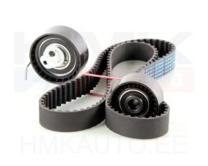 Комплект зубчатого ремня  Peugeot/Citroen 1,6 16V TU5JP4/EC5