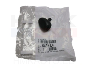 Pesusuutin, lasinpesulaite Citroen C2 / C3