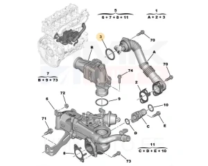 EGR putken tiiviste OEM Citroen/Peugeot