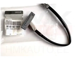 Tagaluugi avamislüliti Renault Koleos