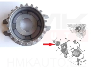 Kütusepumba rihmaratas OEM Citroen/Peugeot DV6