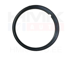 Kütusepumba kinnitusvõru tihend OEM Nemo/Bipper/Fiorino