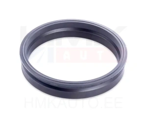 Kütusepumba kinnitusvõru tihend Citroen/Peugeot