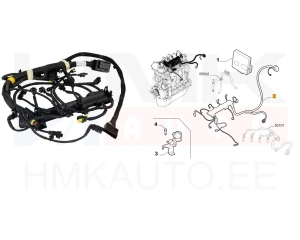 Проводки двигателя OEM Jumper/Boxer/Ducato 3,0HDi (EURO4)