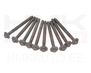 Cylinder head bolt set OEM Renault 1,6dCi