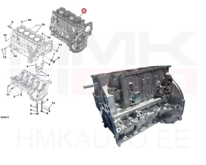 Väntvõlli tihend , eesmine OEM Citroen Peugeot 40x55x7