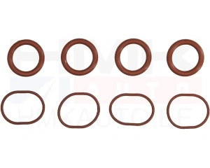 Sisselaskekollektori tihendikomplekt Citroen/Peugeot 2,2HDi DW12