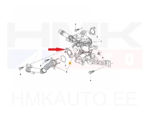 EGR-ventiilin tiiviste OEM Citroen/Peugeot 1,6HDI