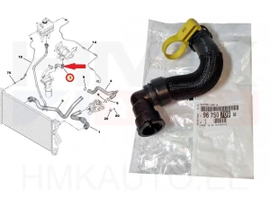 Jäähdyttimen letku öljynjäähdyttimelle OEM PSA 2,0BlueHDi 2016-