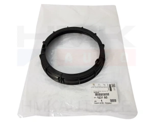 Fuel feed unit retaining nut OEM Peugeot/Citroen