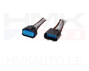 Pistiku remontkomplekt BSM 12-klemmi