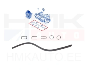 Karterituulutuse/õliseparaatori tihendite komplekt Renault 1,6dCi