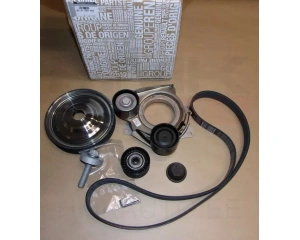 Mitmikkiilrihma komplekt OEM Renault 1,5dCi