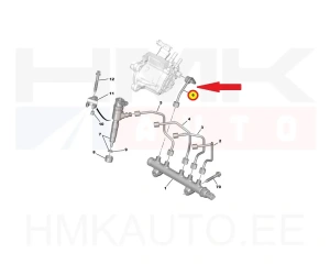 Fuel pump high pressure pipe OEM Citroen/Peugeot