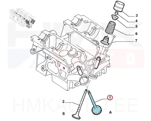 Soupape d'admission OEM Citroen/Peugeot/Fiat 2,0 16V  EW10