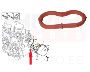 Vacuum pump seal OEM Citroen/Peugeot/Fiat 2,0HDi