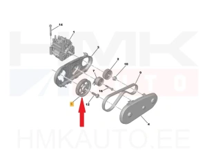 Kütusepumba rihmaratas OEM Citroen/Peugeot 2,7HDi Ø126