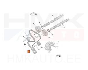 Зубчатый ремень OEM Peugeot/Citroen 1,8-2,2 EW7/10/12