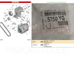 Moniurahihna 6PK1750 OEM Citroen/Peugeot