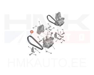 Multi-Ribbed V-Belt 6PK728 OEM Citroen/Peugeot