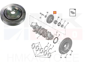 Poulie, vilebrequin OEM Citroen/Peugeot/Fiat 2,0 16V EW10