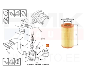 Filtre à air OEM Berlingo/Partner 1,9D DW8 99-