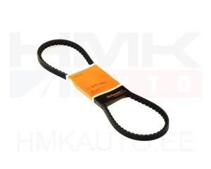 V-belt 10x1025