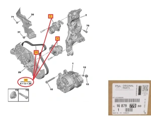 Mitmikkiilrihma komplekt OEM Citroen / Peugeot 2,0BlueHDI