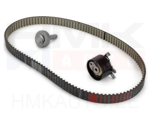 Комплект зубчатого ремня OEM Renault/Dacia/Nissan/MB 1,5DCI 2018-