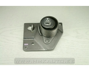 Натяжительный ролик зубчатого ремня Renault Laguna II/Megane II/Scenic II 1.9dCI  2002-