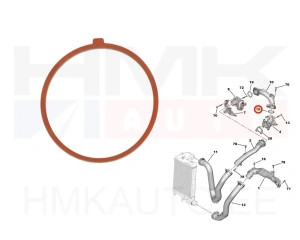 Turbo õhutoru tihend OEM Citroen/Peugeot 1,5BlueHDi DV5R
