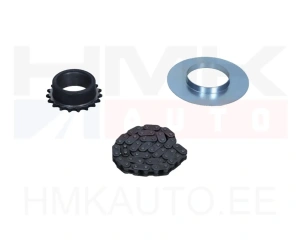 Комплект цепи масляного насоса Renault 2.2-2.5 DCI
