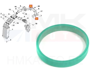 Turbo õhutoru tihend Citroen/Peugeot 1,6HDI
