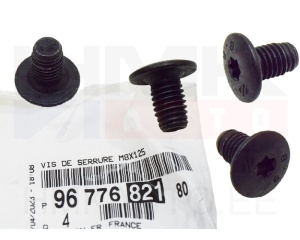 Ukselukusti kinnituspolt OEM Citroen/Peugeot  M8x1,25 (1tk.)