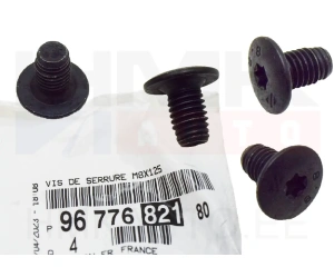 Oven lukon kiinnityspultti OEM Citroen/Peugeot  M8x1,25 (1kpl.)