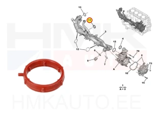 O-rengas jäähdytysnesteputkelle OEM Citroen/Peugeot 1,5BlueHDI DV5R