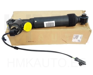 Tagavedru silinder OEM Citroen C6