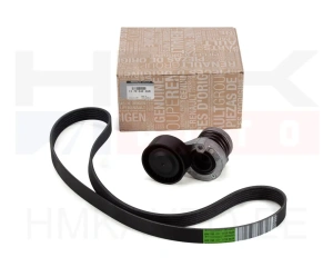 Комплект поликлинового ремня OEM Renault/Dacia/Nissan 1,5BluedCi 2019-