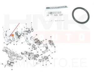 EGR putken o-rengas OEM Renault Master 2,3DCi 2010-