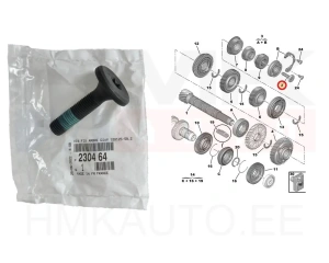 Gearbox shaft fixing screw OEM Citroen/Peugeot/Fiat  ML6