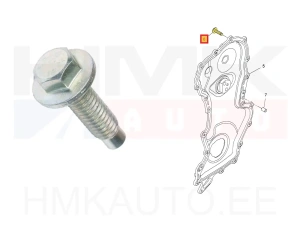 Болт крепления крышки цепи ГРМ OEM Renault 1,6DCI (M6x1,00-L19)