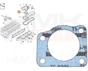 Прокладка дроссельной заслонки OEM Jumper/Boxer/Ducato 3,0HDi