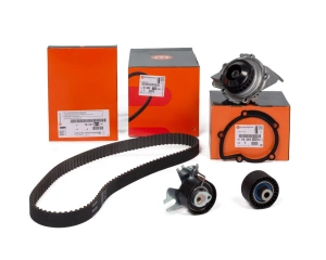 Jakohihnasarja + Vesipumppu OEM Citroen C5 III, C4 Picasso, Jumpy III  2,0HDi