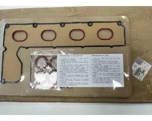 Rocker cover gasket set OEM Citroen/Peugeot/Fiat 2,0HDi DW10 Euro4