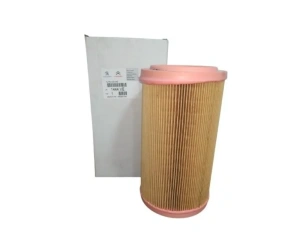 Filtre à air OEM Berlingo/Partner 1,9D DW8 99-