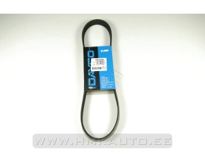 Moniurahihna elastic 6PK873 Jumper/Boxer/Ducato/Transit 2,2HDI 2006-