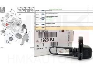 Датчик температуры всасываемого воздуха OEM Citroen/Peugeot/Ford