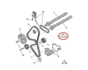 Комплект зубчатого ремня OEM Citroen/Peugeot 1,6HDI DV6TED4