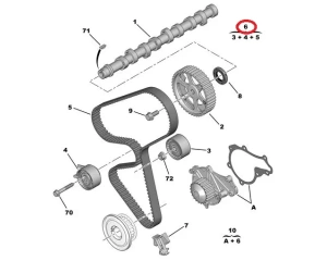 Комплект зубчатого ремня OEM Citroen/Peugeot 1,4HDI